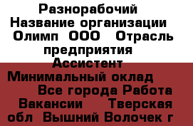 Разнорабочий › Название организации ­ Олимп, ООО › Отрасль предприятия ­ Ассистент › Минимальный оклад ­ 25 000 - Все города Работа » Вакансии   . Тверская обл.,Вышний Волочек г.